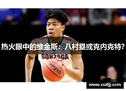 热火眼中的维金斯：八村塁或克内克特？